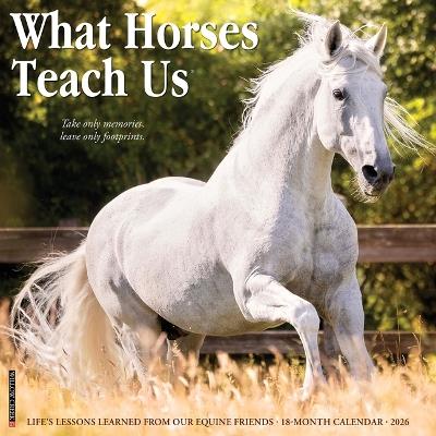 What Horses Teach Us 2026 12 X 12 Wall Calendar - Willow Creek Press - cover