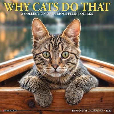 Why Cats Do That 2026 12 X 12 Wall Calendar - Willow Creek Press - cover