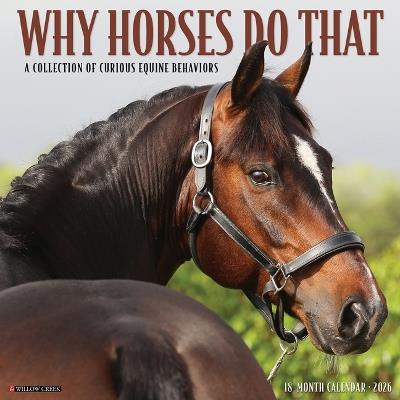 Why Horses Do That 2026 12 X 12 Wall Calendar - Willow Creek Press - cover