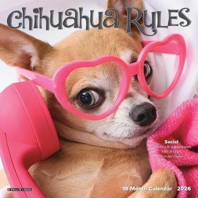 Chihuahua Rules 2026 7 X 7 Mini Wall Calendar - Willow Creek Press - cover