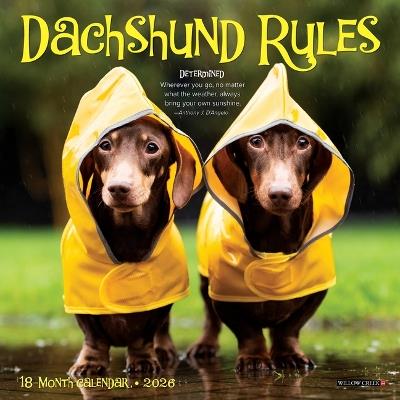 Dachshund Rules 2026 7 X 7 Mini Wall Calendar - Willow Creek Press - cover