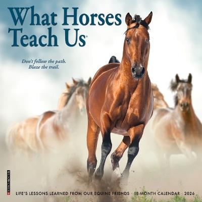 What Horses Teach Us 2026 7 X 7 Mini Wall Calendar - Willow Creek Press - cover