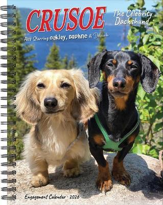 Crusoe the Celebrity Dachshund 2026 6.5 X 8.5 Engagement Calendar - cover