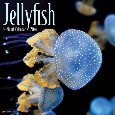 Jellyfish 12 X 12 Wall Calendar - Willow Creek Press - cover