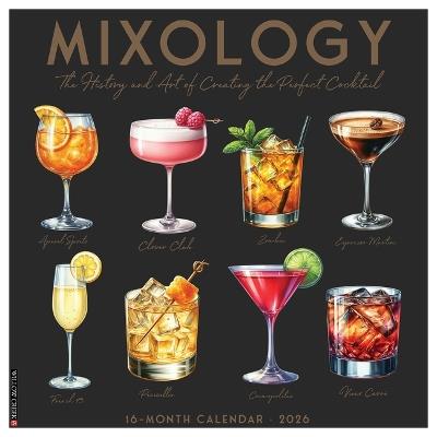 Mixology 12 X 12 Wall Calendar - Willow Creek Press - cover