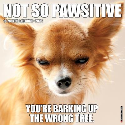 Not So Pawsitive 12 X 12 Wall Calendar - Willow Creek Press - cover