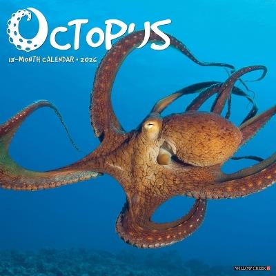 Octopus 12 X 12 Wall Calendar - Willow Creek Press - cover