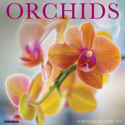 Orchids 12 X 12 Wall Calendar - Willow Creek Press - cover