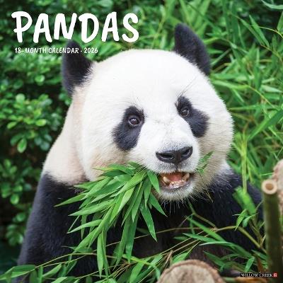 Pandas 12 X 12 Wall Calendar - Willow Creek Press - cover