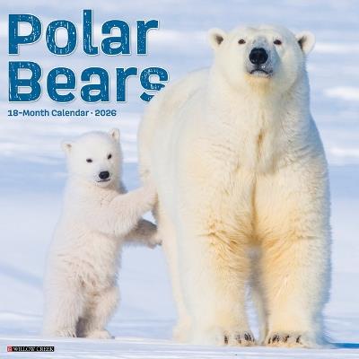 Polar Bears 12 X 12 Wall Calendar - Willow Creek Press - cover
