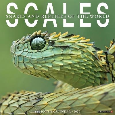 Scales 12 X 12 Wall Calendar - Willow Creek Press - cover