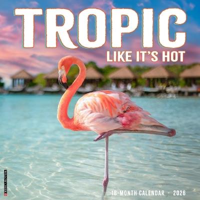 Tropic Like It's Hot 12 X 12 Wall Calendar - Willow Creek Press - cover