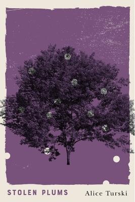 Stolen Plums - Alice Turski - cover