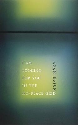 No-Place Grid - Adam Haiun - cover