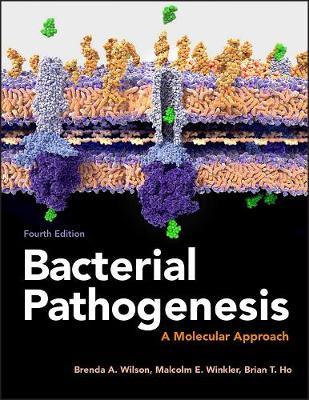 Bacterial Pathogenesis: A Molecular Approach - Brenda A. Wilson,Malcolm Winkler,Brian T. Ho - cover