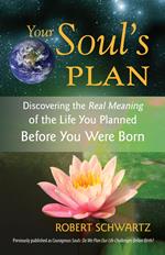 Your Soul's Plan