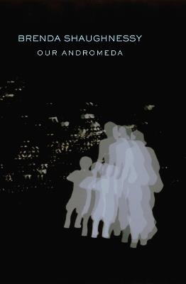 Our Andromeda - Brenda Shaughnessy - cover