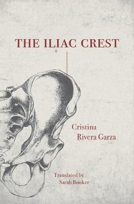 The Iliac Crest - Cristina Rivera-Garza - cover