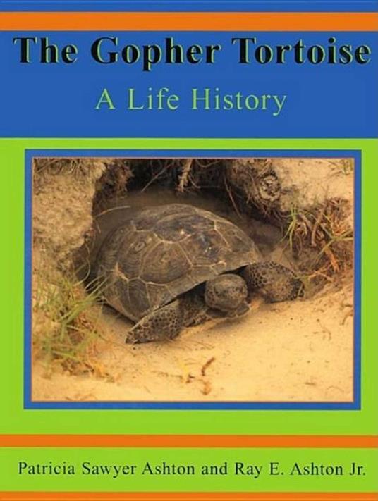 Gopher Tortoise - Ray E Ashton - ebook