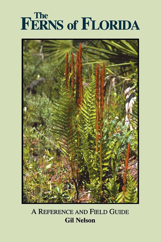 Ferns of Florida
