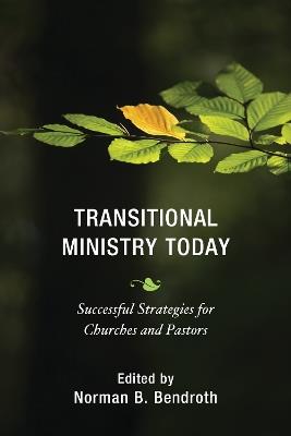 Transitional Ministry Today: Successful Strategies for Churches and Pastors - cover