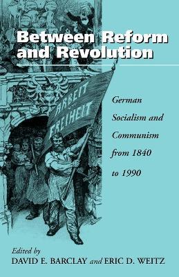 Between Reform and Revolution: German Socialism and Communism from 1840 to 1990 - cover