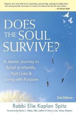 Does the Soul Survive?: A Jewish Journey to Belief in Afterlife, Past Lives & Living with Purpose - Elie Kaplan Spitz - cover