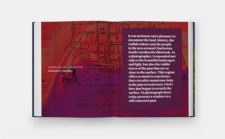 The African ancestors garden - Walter Hood - 3