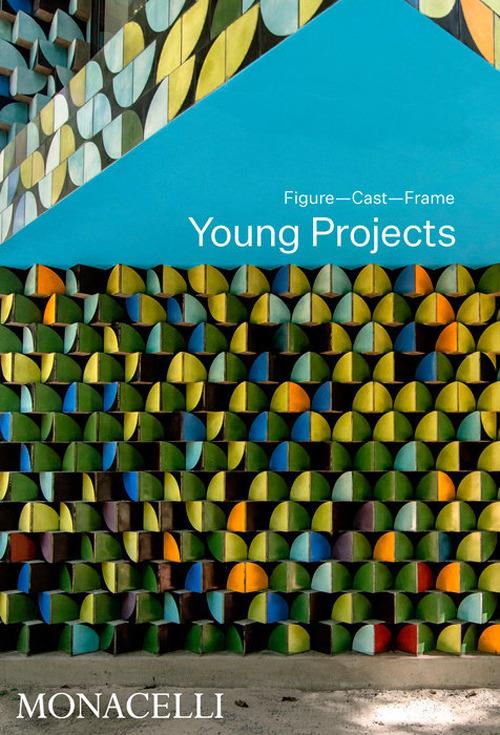 Young Projects. Figure, cast, frame. Ediz. a colori - Bryan Young - copertina