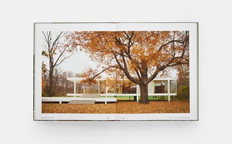 The Edith Farnsworth house - Michelangelo Sabatino - 4
