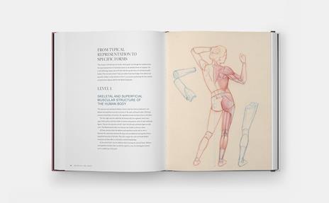 Drawing the body. Reading the human form in art - Roberto Osti - 4