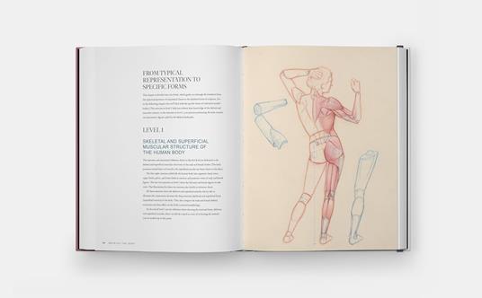 Drawing the body. Reading the human form in art - Roberto Osti - 4