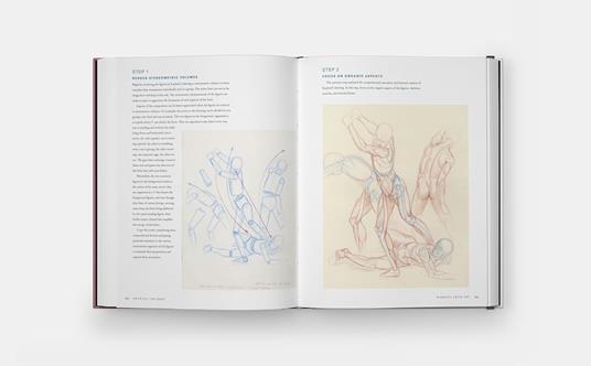 Drawing the body. Reading the human form in art - Roberto Osti - 5