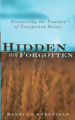 Hidden, Not Forgotten: Discovering the Treasure of Unexpected Delays - Rebecca Sheffield - cover