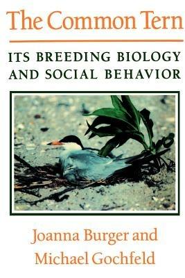 The Common Tern: Its Breeding Biology and Social Behavior - Joanna Burger,Michael Gochfield,Michael Gochfeld - cover