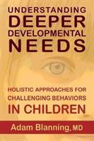 Understanding Deeper Developmental Needs: Holistic Approaches for Challenging Behaviors in Children - Adam Blanning - cover