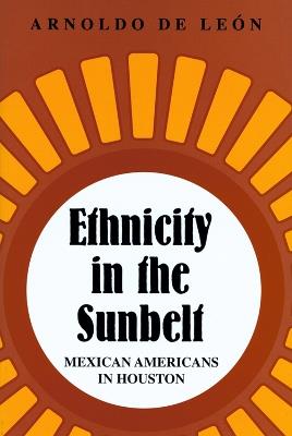 Ethnicity in the Sunbelt: Mexican Americans in Houston - Arnoldo De Leon - cover