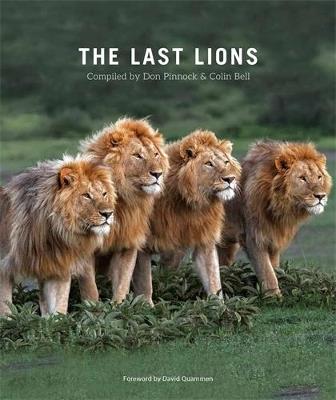 The Last Lions - cover