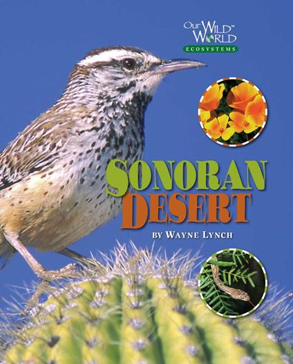 The Sonoran Desert - Wayne Lynch - ebook