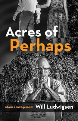 Acres of Perhaps - Will Ludwigsen - cover