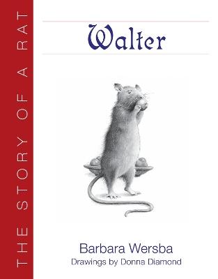 Walter: The Story of a Rat - Barbara Wersba - cover