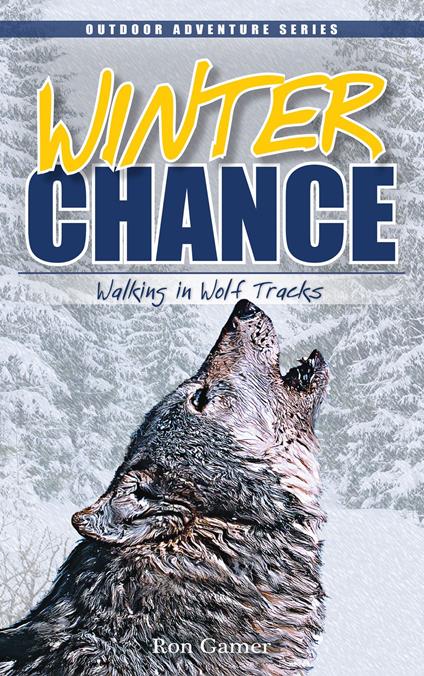 Winter Chance - Ron Gamer - ebook