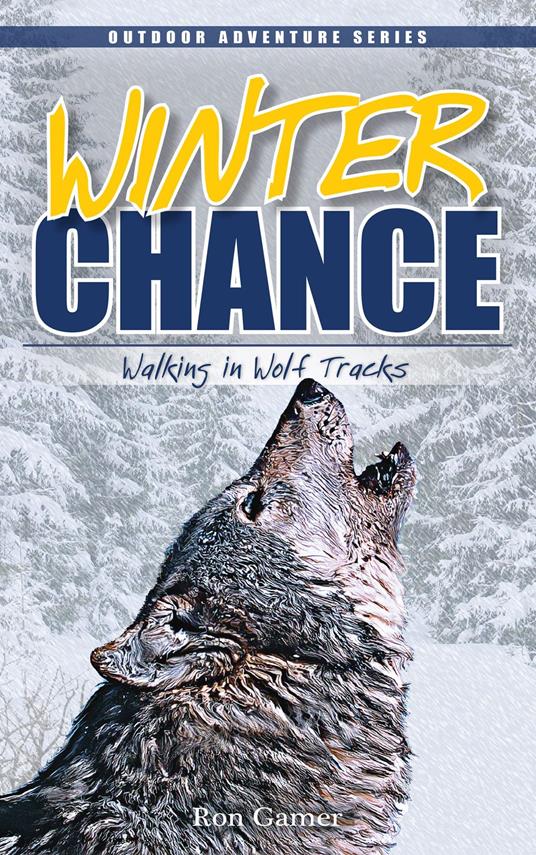 Winter Chance - Ron Gamer - ebook