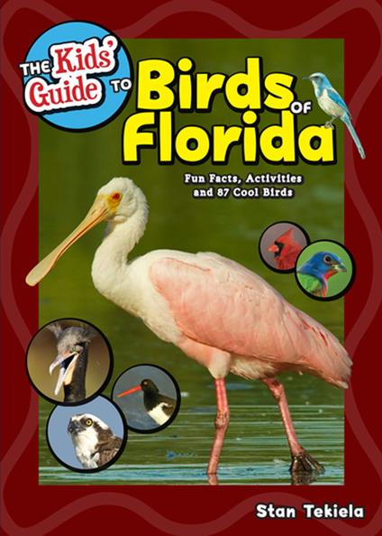 The Kids' Guide to Birds of Florida - Stan Tekiela - ebook