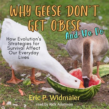 Why Geese Don't Get Obese (And We Do)