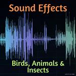 Sound Effects: Birds, Animals & Insects