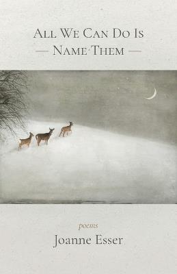 All We Can Do Is Name Them - Joanne Esser - cover