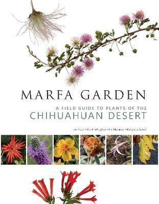 Marfa Garden: A Field Guide to Plants of the Chihuahuan Desert - Jim Martinez,Mary Lou Saxon,Jim Fissel - cover