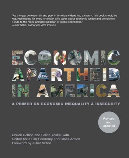 Economic Apartheid In America