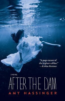 After the Dam - Amy Hassinger - cover